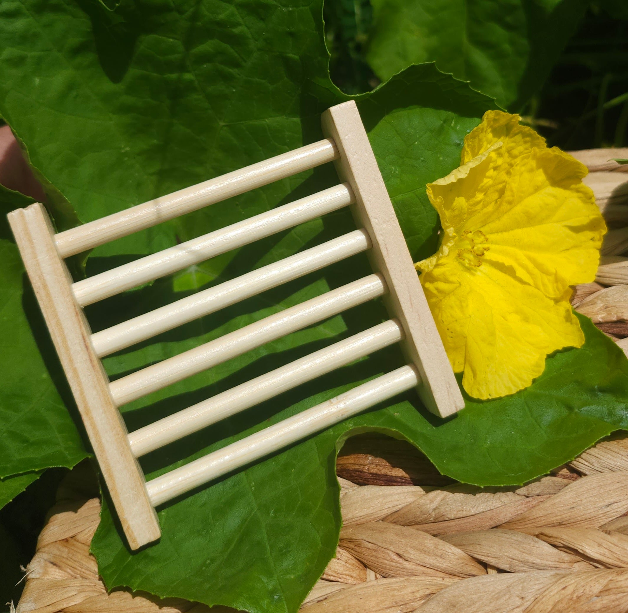 Soap Ladder