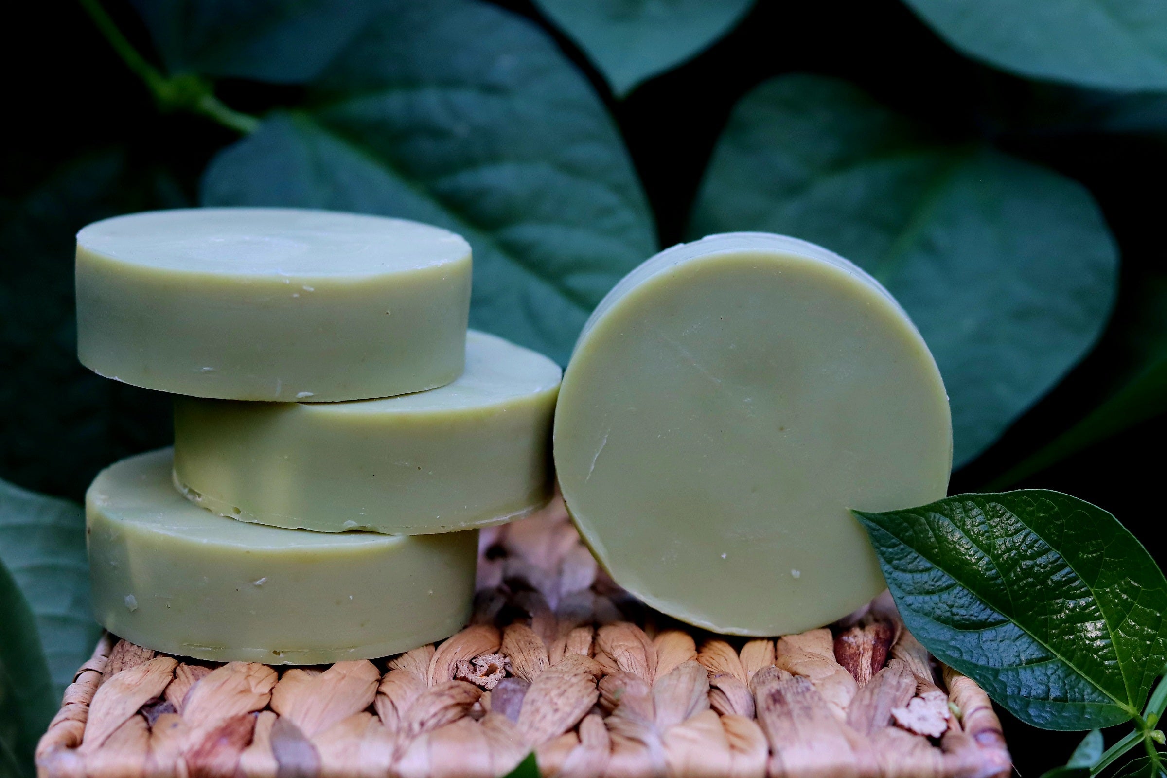 Hemp & Avocado Shave Bar
