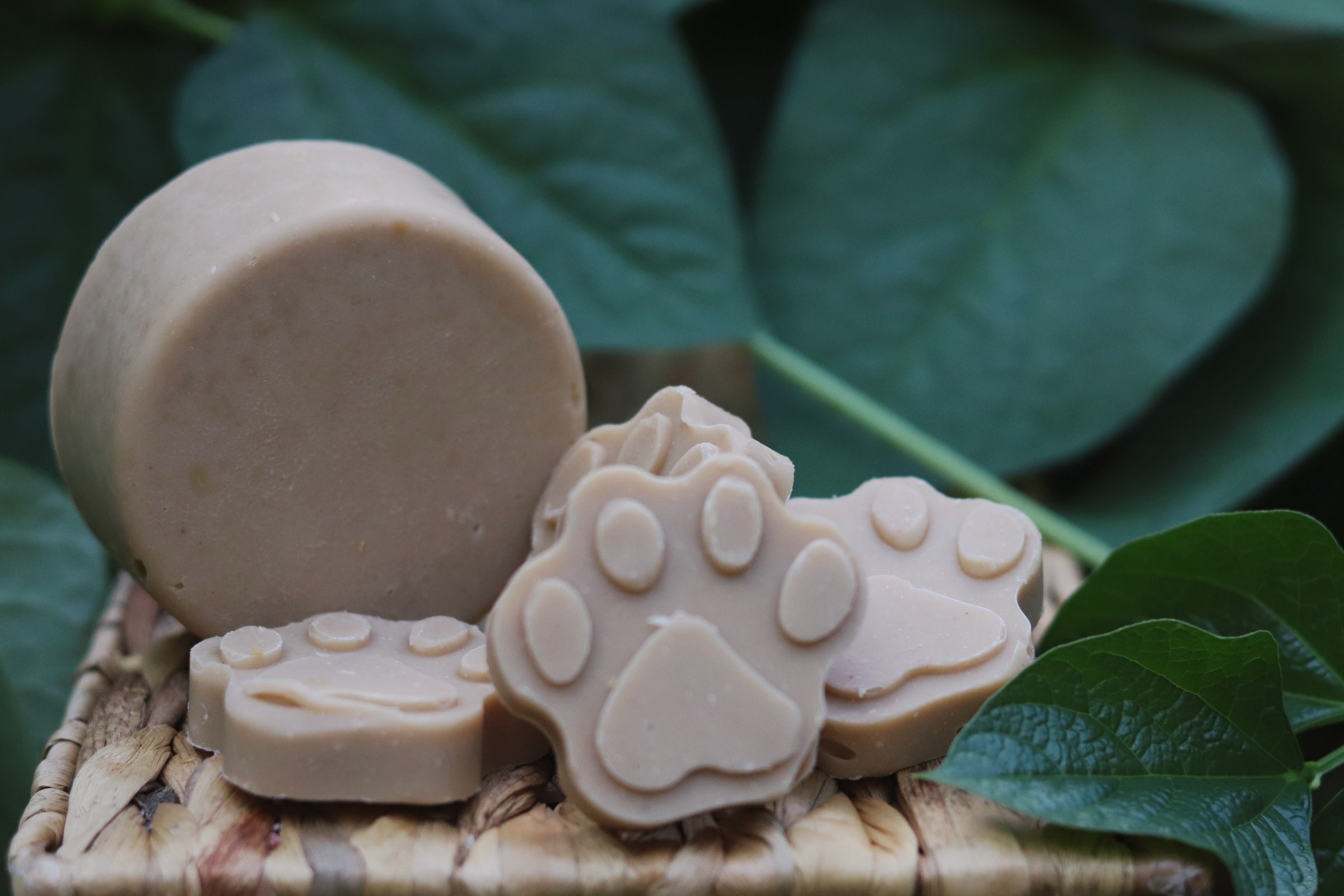 Sham-Pooch - Single use paw print